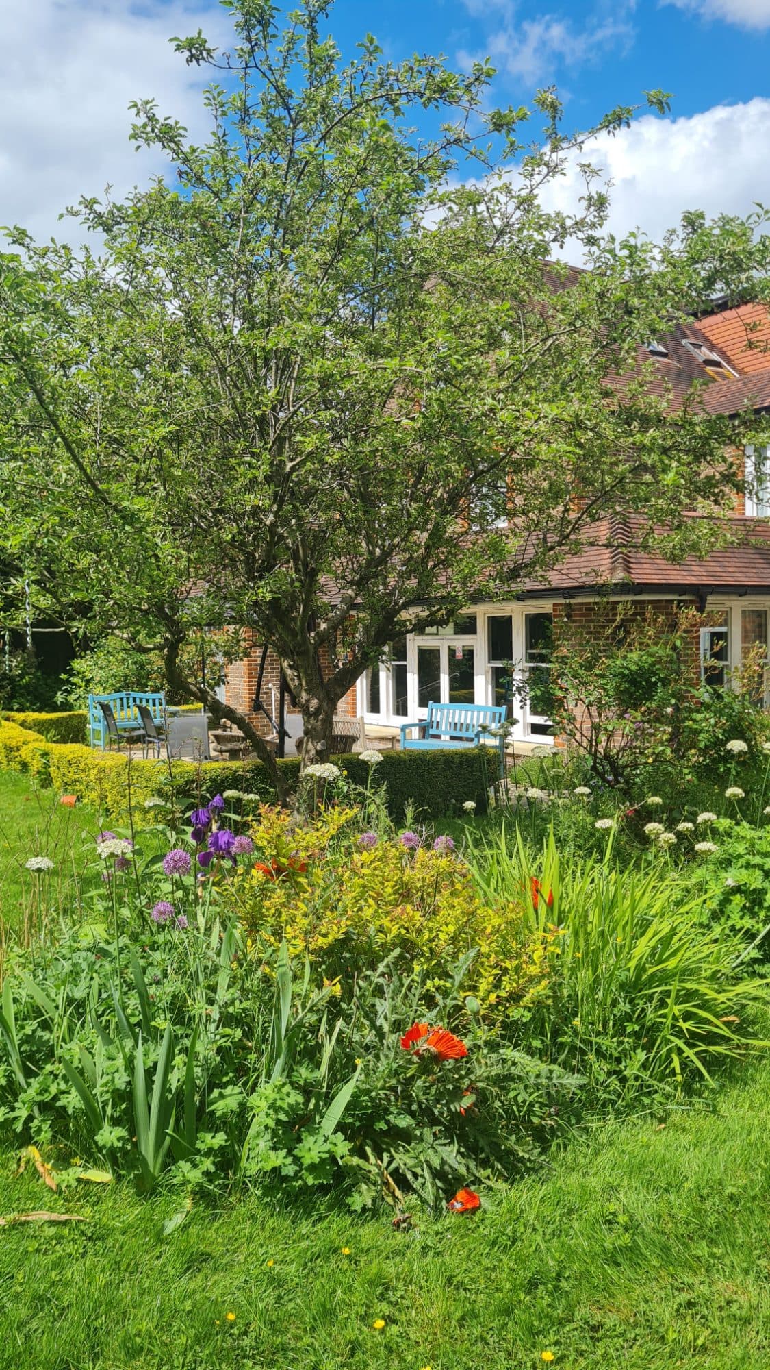 Ferndale view of our lovely back garden