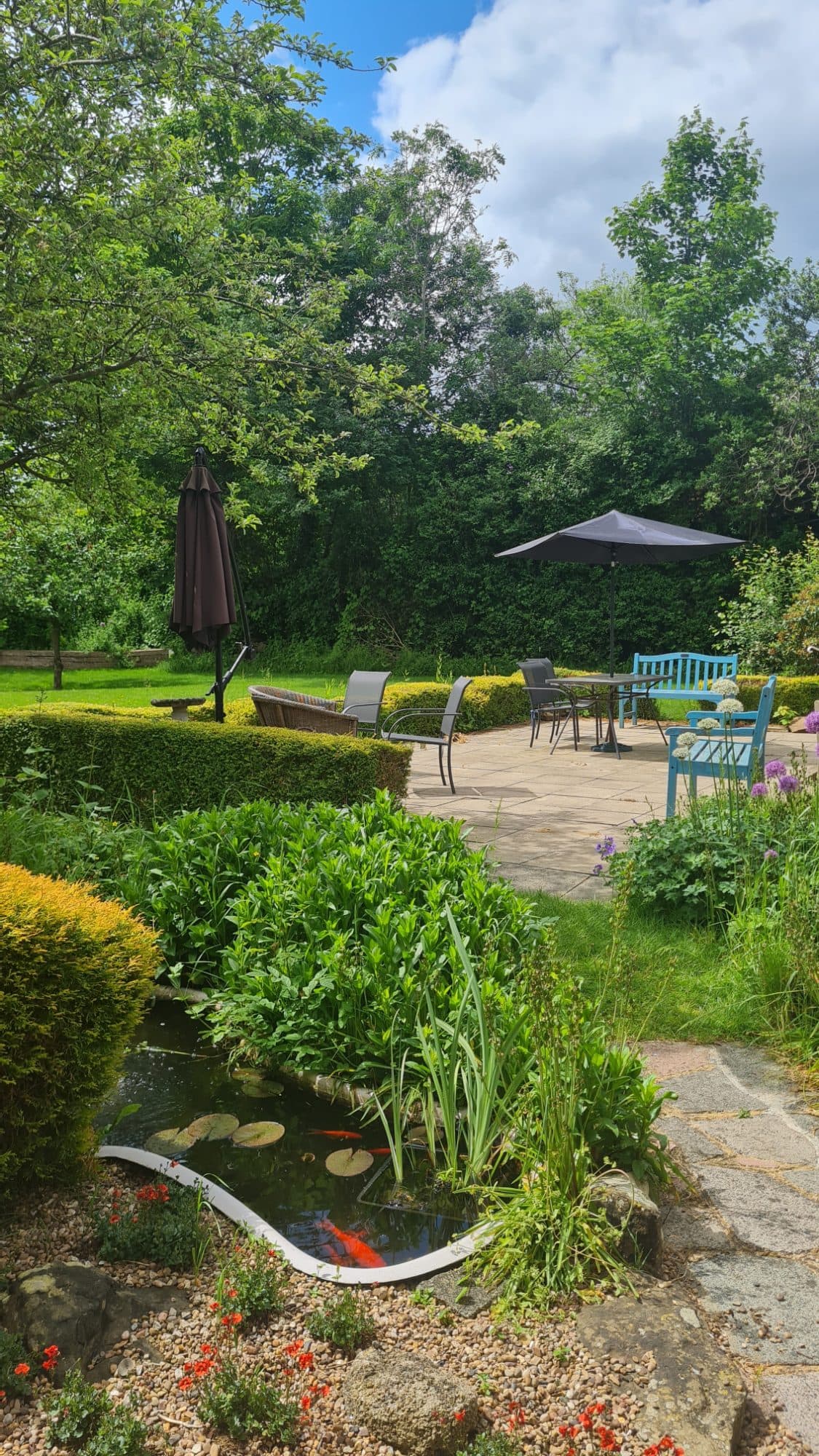 Ferndale back garden and small pond